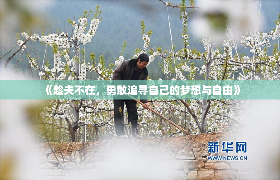 《趁夫不在，勇敢追寻自己的梦想与自由》