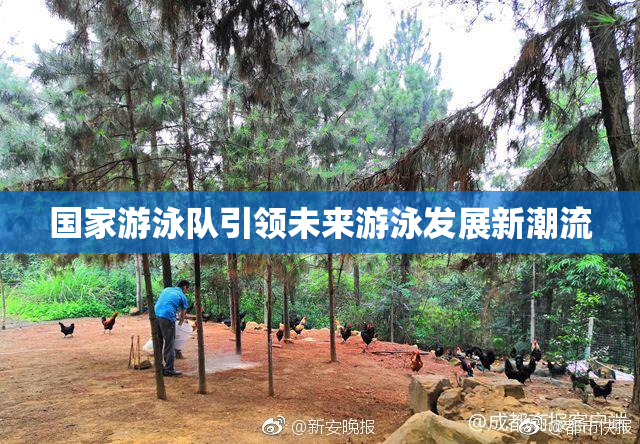 国家游泳队引领未来游泳发展新潮流