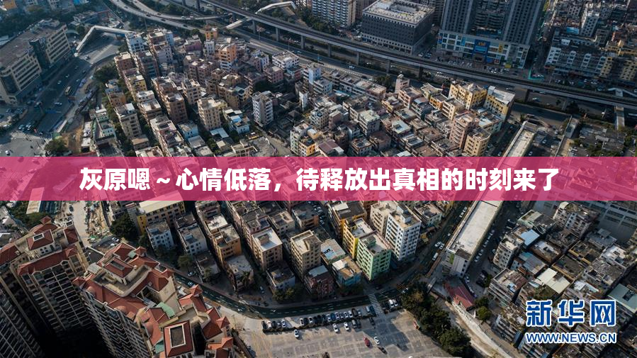 灰原嗯～心情低落，待释放出真相的时刻来了