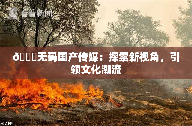 🔞无码国产传媒：探索新视角，引领文化潮流