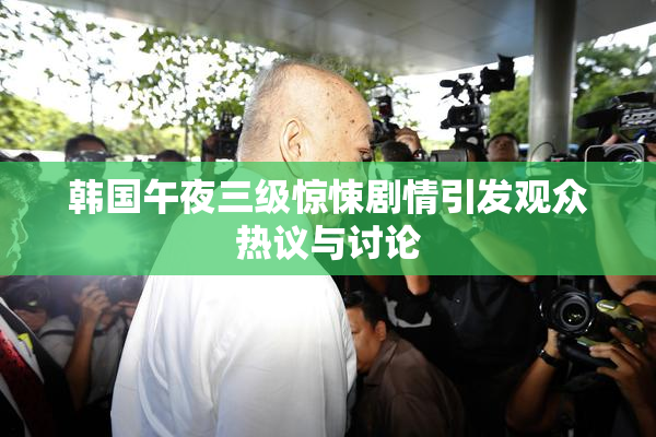 韩国午夜三级惊悚剧情引发观众热议与讨论