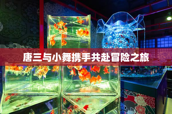 唐三与小舞携手共赴冒险之旅
