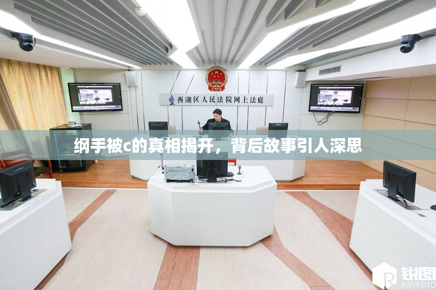 纲手被c的真相揭开，背后故事引人深思