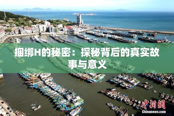 捆绑H的秘密：探秘背后的真实故事与意义