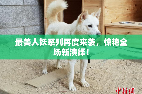最美人妖系列再度来袭，惊艳全场新演绎！