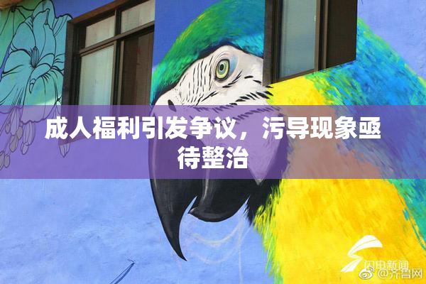 成人福利引发争议，污导现象亟待整治