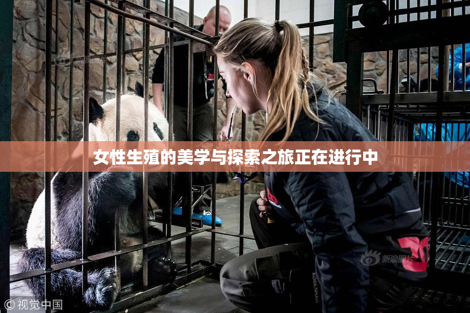 女性生殖的美学与探索之旅正在进行中