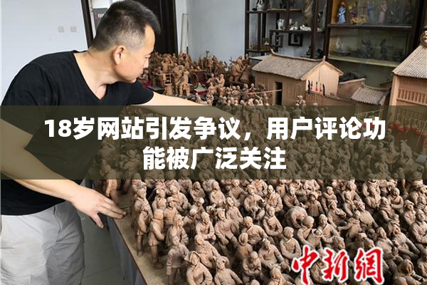18岁网站引发争议，用户评论功能被广泛关注