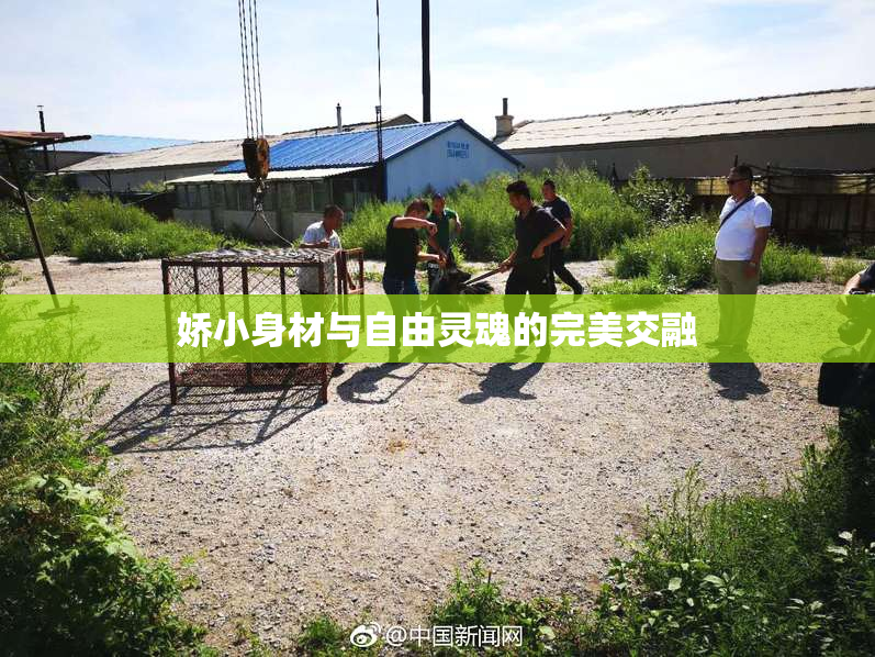 娇小身材与自由灵魂的完美交融