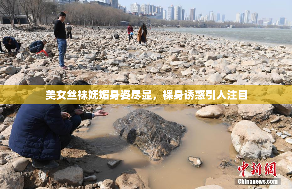 美女丝袜妩媚身姿尽显，裸身诱惑引人注目