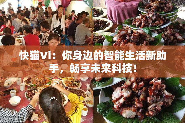 快猫Vi：你身边的智能生活新助手，畅享未来科技！