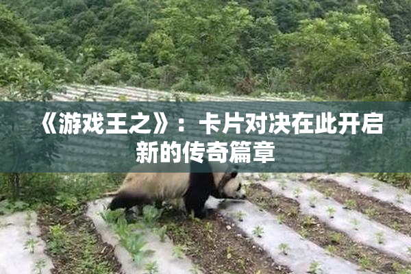 《游戏王之》：卡片对决在此开启新的传奇篇章