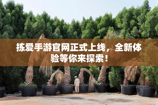 拣爱手游官网正式上线，全新体验等你来探索！