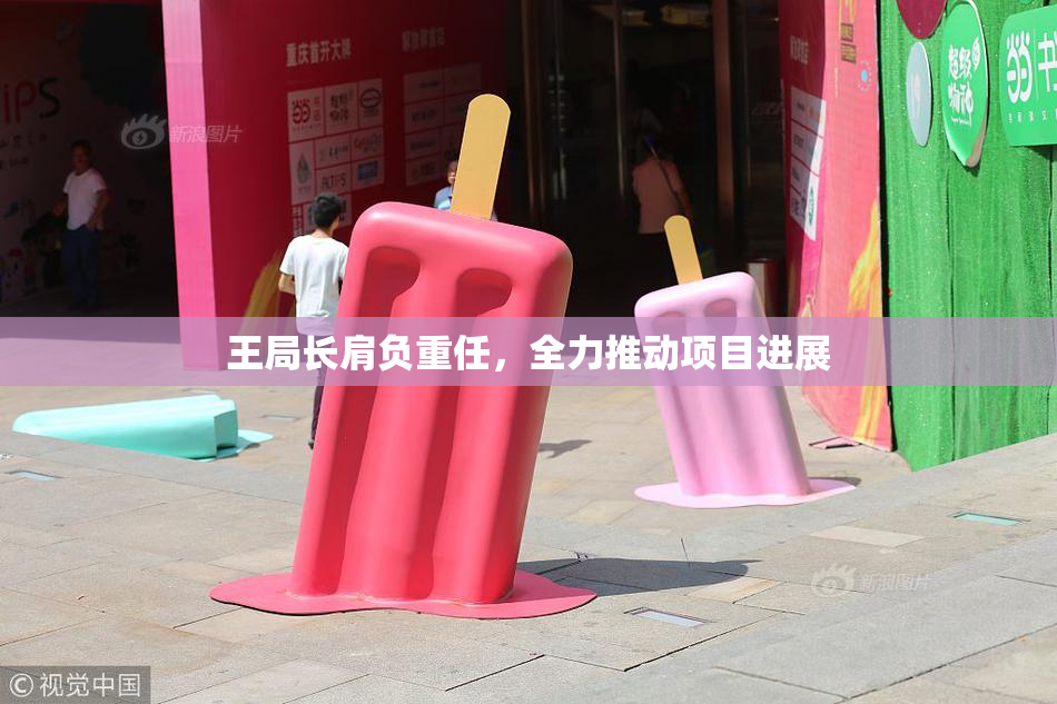 王局长肩负重任，全力推动项目进展