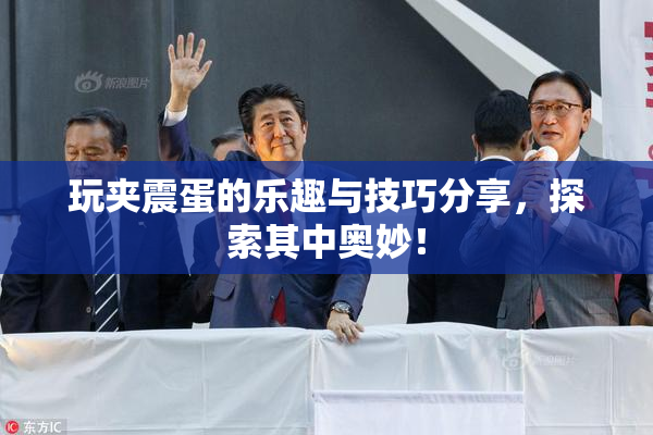 玩夹震蛋的乐趣与技巧分享，探索其中奥妙！