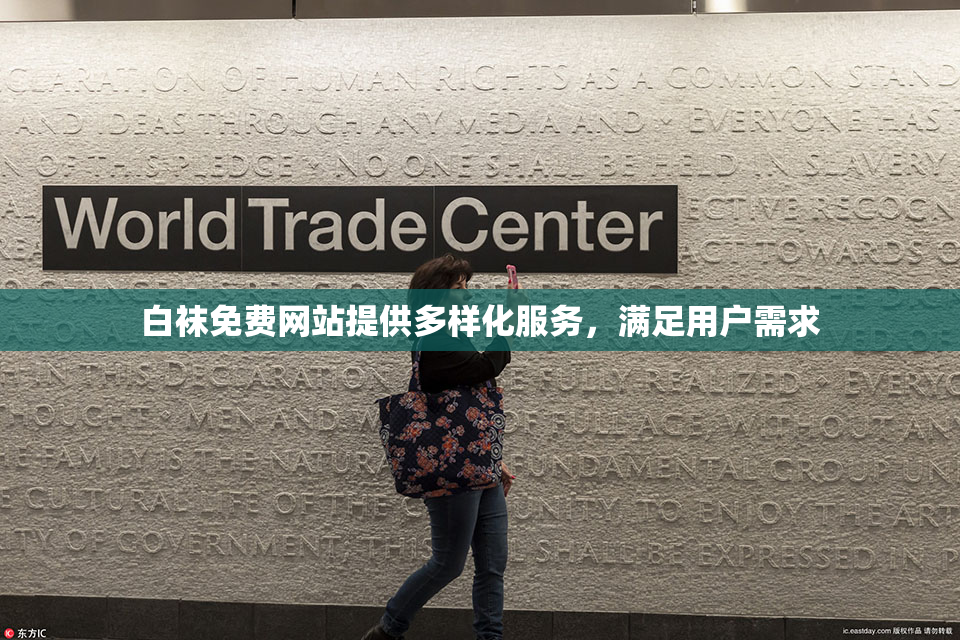 白袜免费网站提供多样化服务，满足用户需求