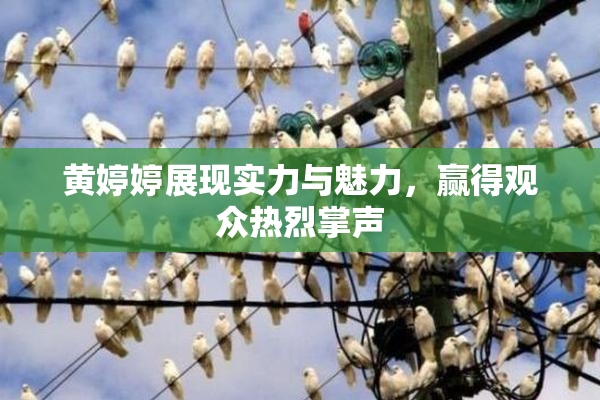 黄婷婷展现实力与魅力，赢得观众热烈掌声