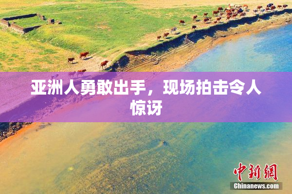 亚洲人勇敢出手，现场拍击令人惊讶
