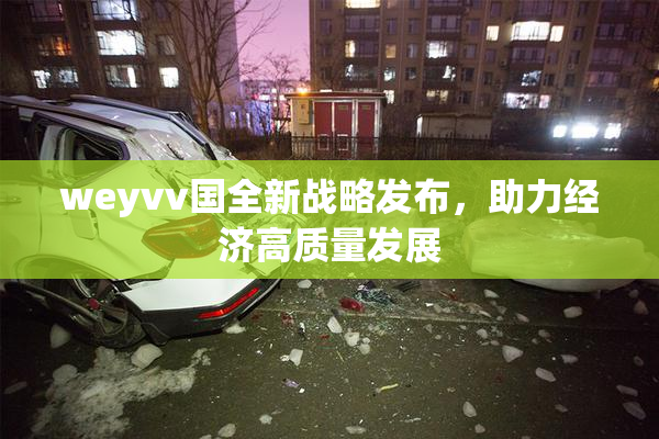 weyvv国全新战略发布，助力经济高质量发展