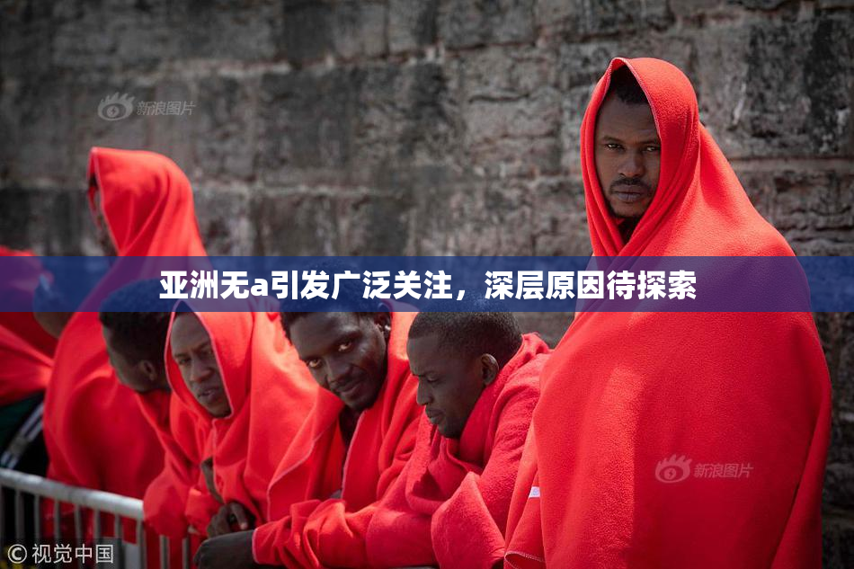 亚洲无a引发广泛关注，深层原因待探索