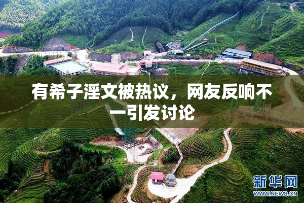 有希子淫文被热议，网友反响不一引发讨论