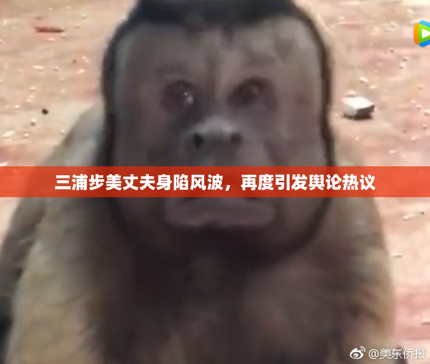 三浦步美丈夫身陷风波，再度引发舆论热议