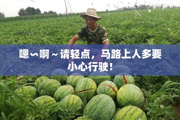 嗯∽啊～请轻点，马路上人多要小心行驶！
