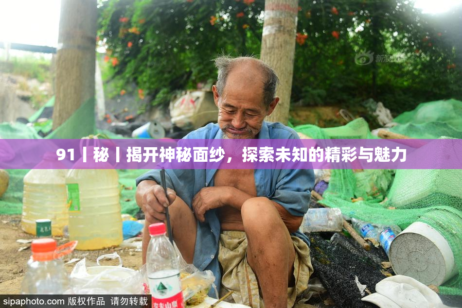 91丨秘丨揭开神秘面纱，探索未知的精彩与魅力