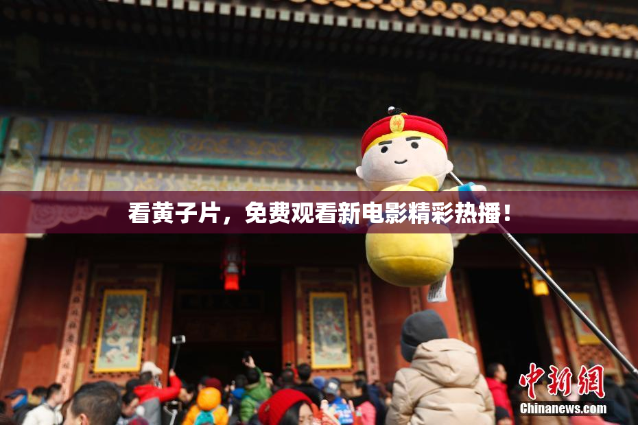 看黄子片，免费观看新电影精彩热播！