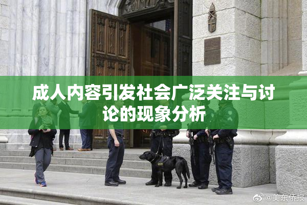 成人内容引发社会广泛关注与讨论的现象分析