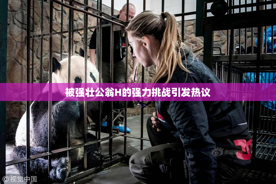 被强壮公翁H的强力挑战引发热议