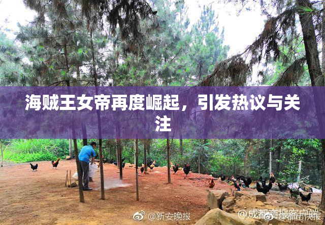 海贼王女帝再度崛起，引发热议与关注