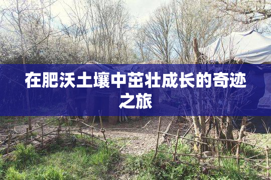在肥沃土壤中茁壮成长的奇迹之旅