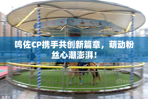鸣佐CP携手共创新篇章，萌动粉丝心潮澎湃！
