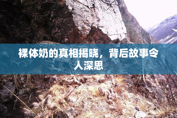 裸体奶的真相揭晓，背后故事令人深思