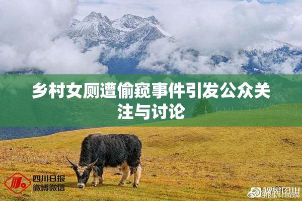 乡村女厕遭偷窥事件引发公众关注与讨论