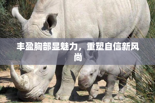 丰盈胸部显魅力，重塑自信新风尚