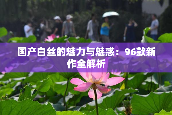 国产白丝的魅力与魅惑：96款新作全解析