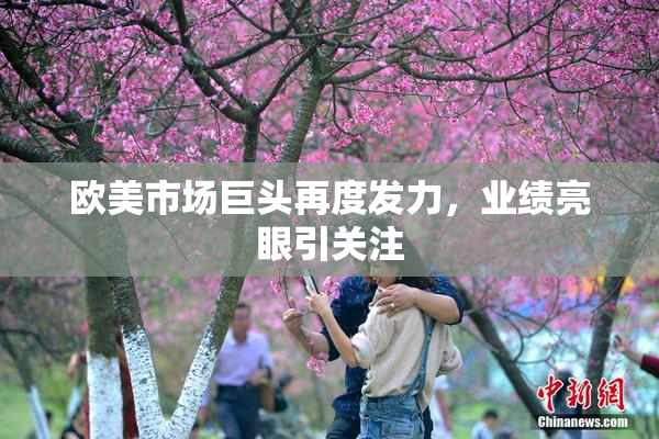 欧美市场巨头再度发力，业绩亮眼引关注