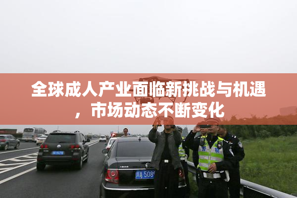 全球成人产业面临新挑战与机遇，市场动态不断变化