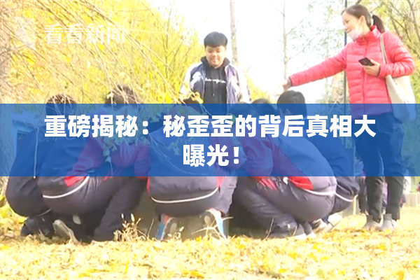 重磅揭秘：秘歪歪的背后真相大曝光！