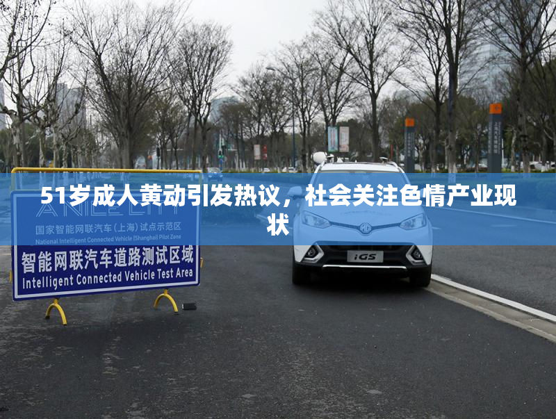 51岁成人黄动引发热议，社会关注色情产业现状