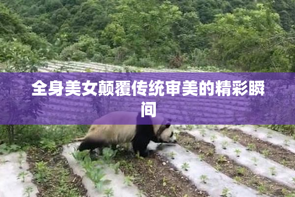 全身美女颠覆传统审美的精彩瞬间