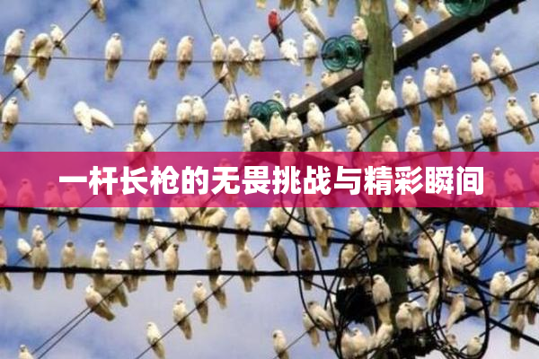 一杆长枪的无畏挑战与精彩瞬间