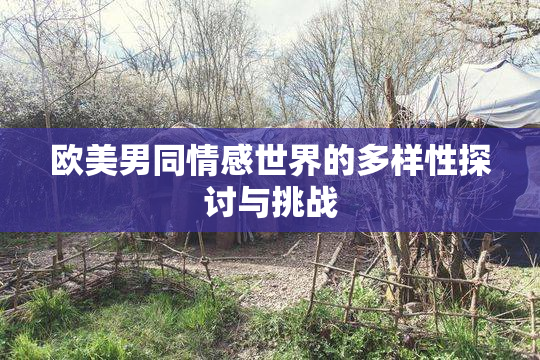 欧美男同情感世界的多样性探讨与挑战