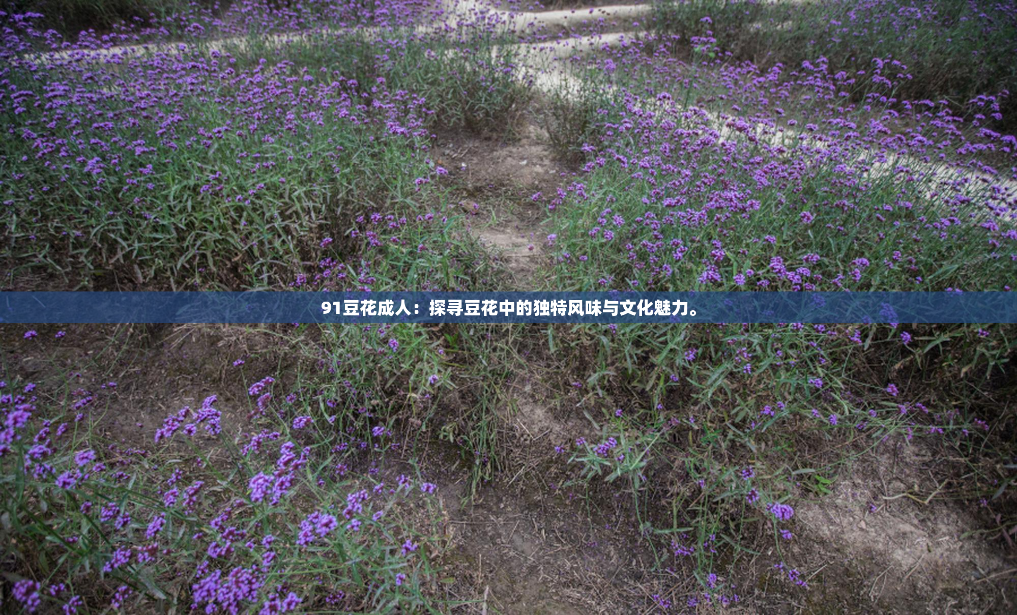 91豆花成人：探寻豆花中的独特风味与文化魅力。