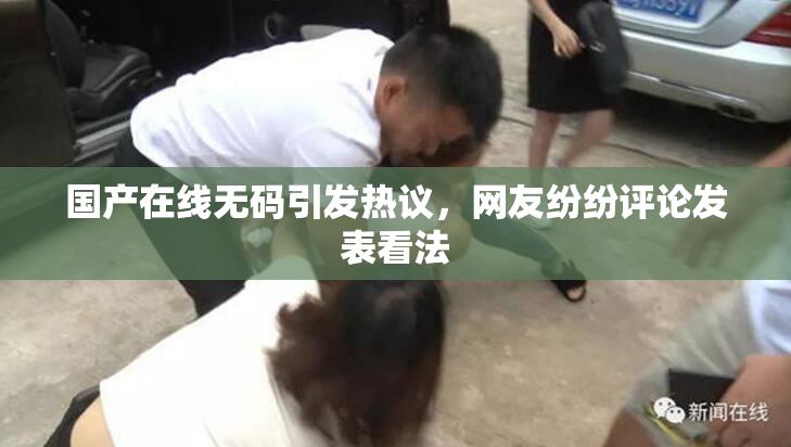 国产在线无码引发热议，网友纷纷评论发表看法