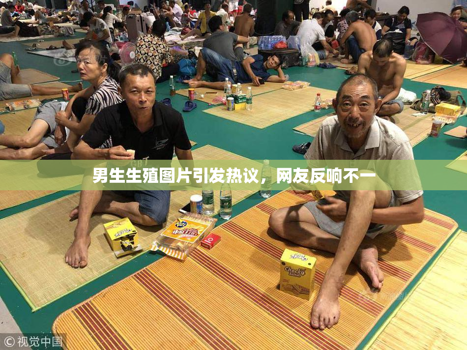 男生生殖图片引发热议，网友反响不一