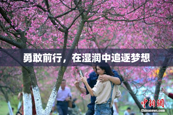 勇敢前行，在湿润中追逐梦想