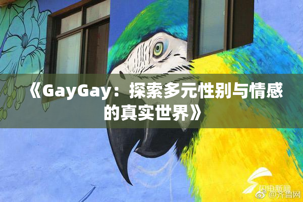 《GayGay：探索多元性别与情感的真实世界》